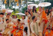 marathi actress meenal shah wedding news